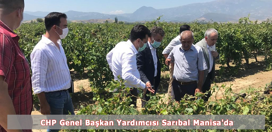 CHP Genel Başkan Yardımcısı Sarıbal Manisa'da