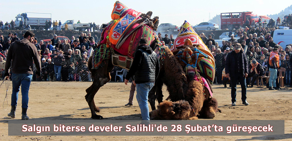 Salgn biterse develer Salihli'de 28 ubat'ta greecek