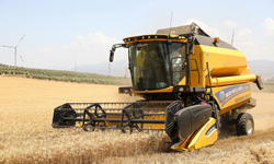 Akhisar Belediyesi, atıl arazilerini tarımla değerlendirdi